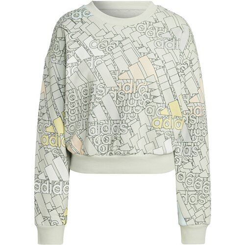 DAMEN SWEATSHIRT W BLUV Q3 SWT G
