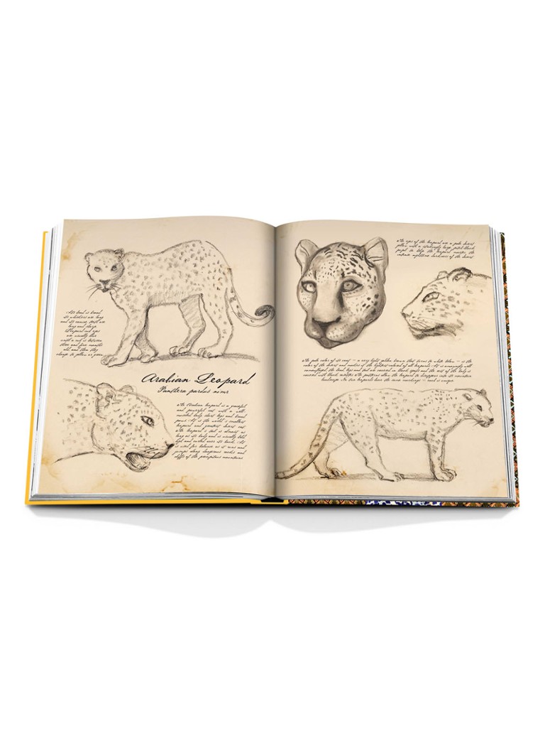 Assouline  Arabian Leopard