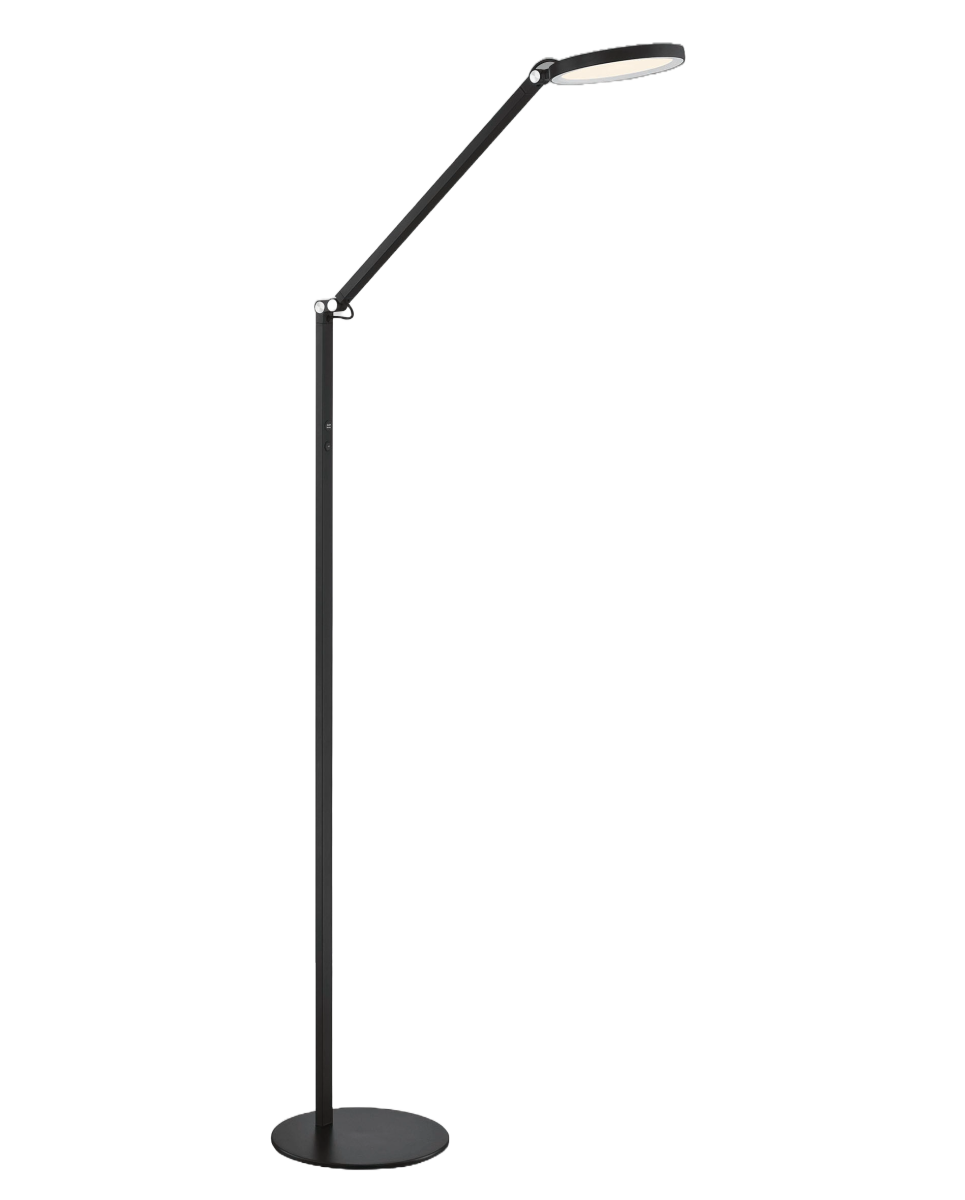 LED 1-flg Stehleuchte Regina Schwarz