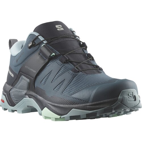 DAMEN MULTIFUNKTIONSSCHUHE SHOES X ULTRA 4 GTX W STARGAZER/CARBON/S