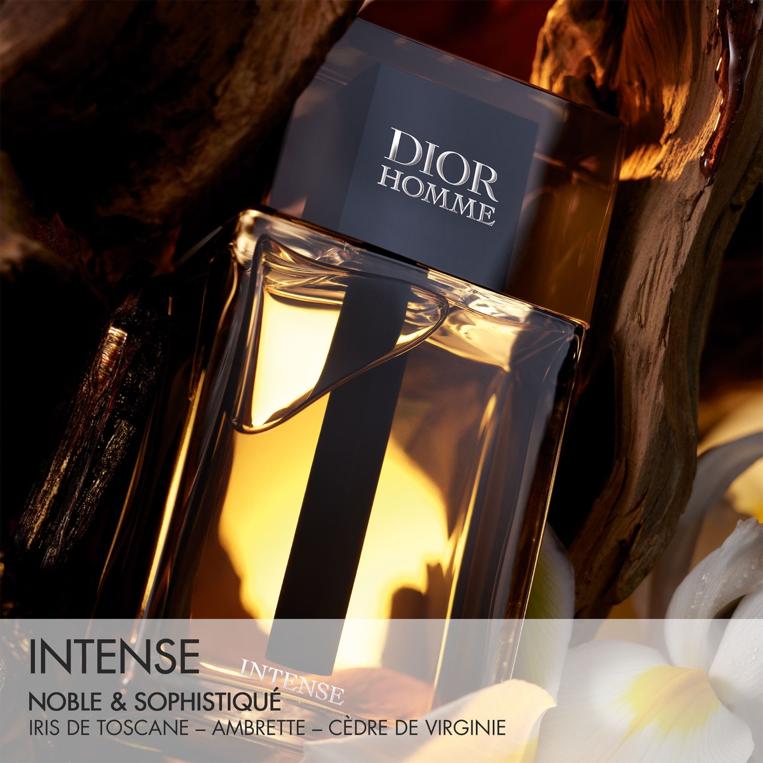 DIOR Intenso