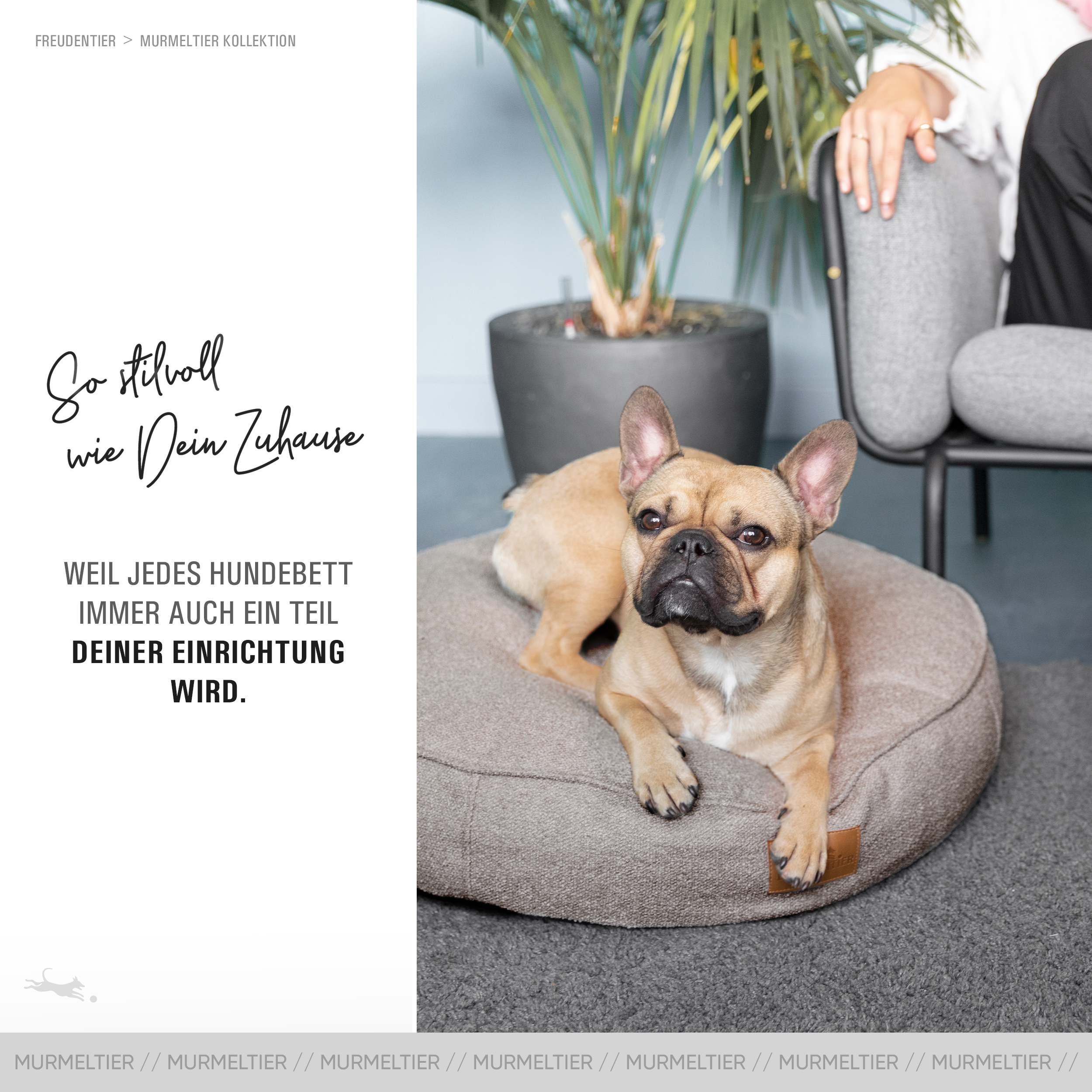 Freudentier Hundebetten Freudentier kuscheliges Hundebett mit Memory Foam