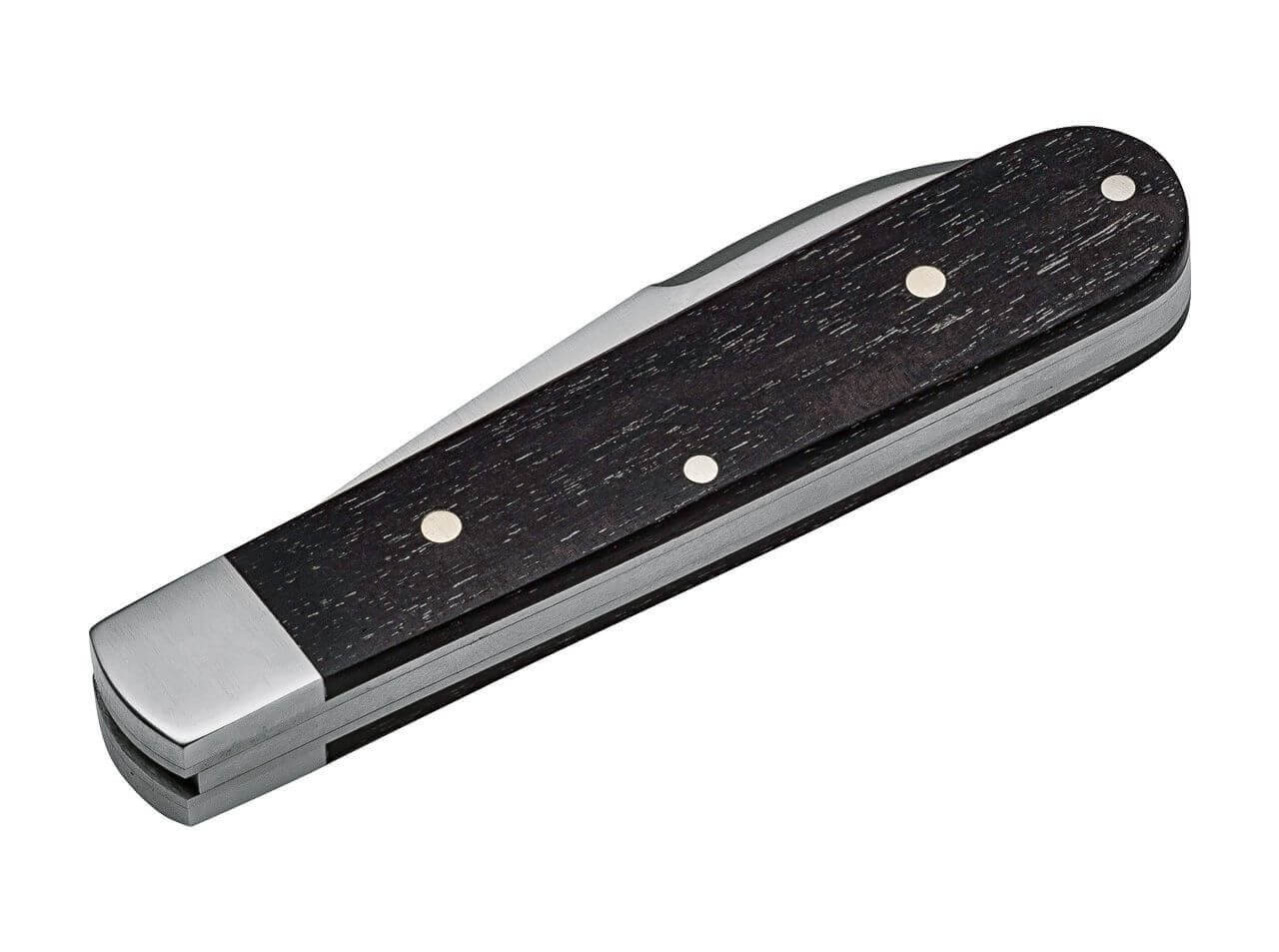 Barlow Prime Hainbuche