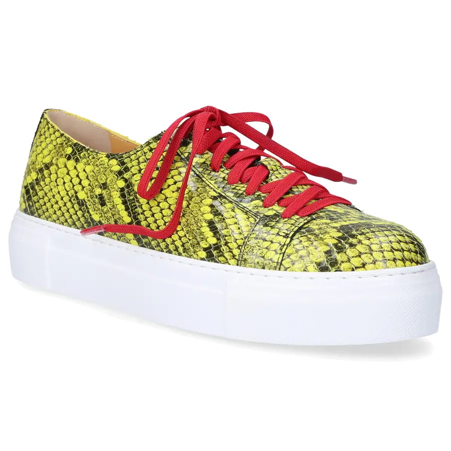 Truman's - Sneaker low 9121 Kalbsleder Print grün - grün