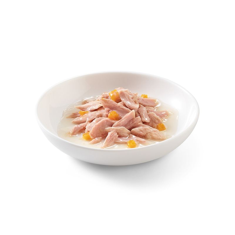 Sparpaket Schesir in Brühe 24 x 70 g zu TOP-Preisen
