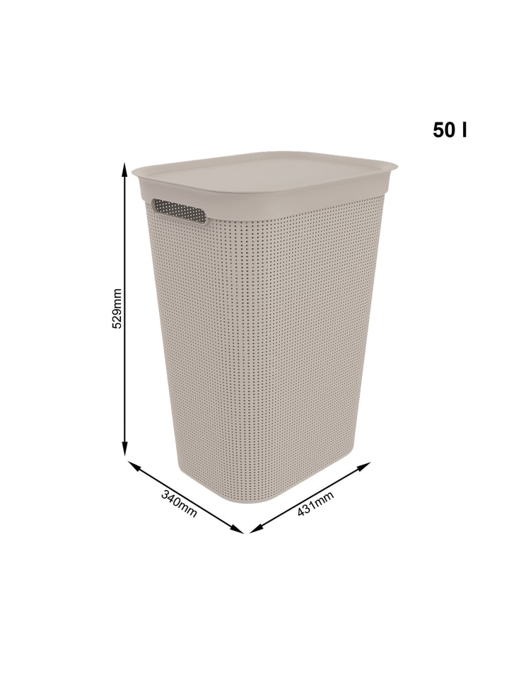 Rotho Brisen Wäschebox 50l mit Deckel und Griffe in Cappuccino günstig kaufen onesize