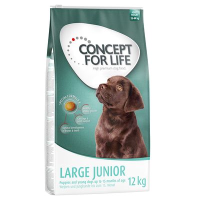 Sparpaket Concept for Life 2 x Großgebinde
