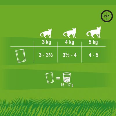Kitekat Frischebeutel 24 x 85 g
