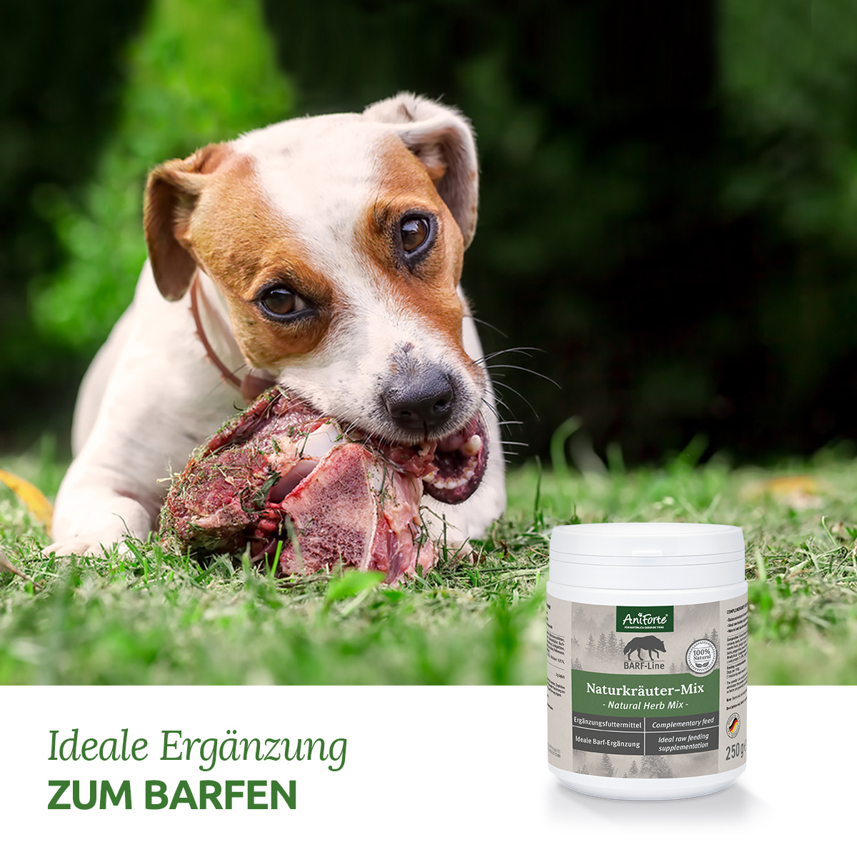 Aniforte Ergänzungsfutter & Aufzucht Aniforte BARF-Line Naturkräuter Mix 250g