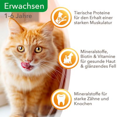 IAMS Delights Adult Land Mix