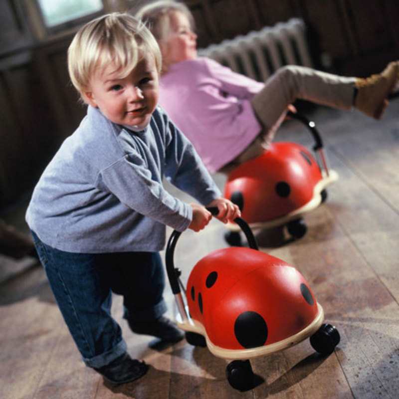 Porteur coccinelle Wheelybug
