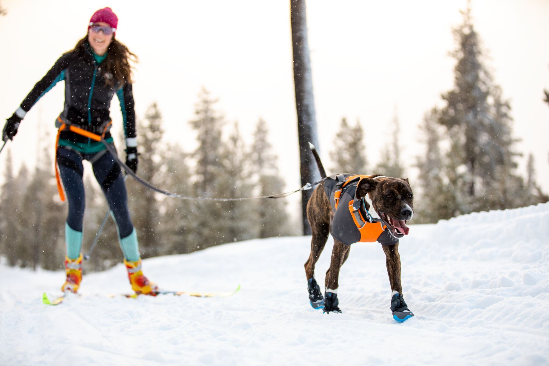 Ruffwear Hundemäntel Ruffwear Cloud Chaser™ Hundejacke schwarz XS