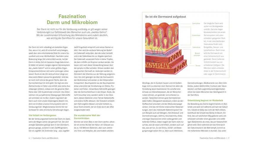 Die Ernährungs-Docs - Gesund abnehmen mit der Darm-fit-Formel