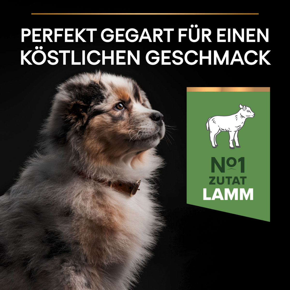PRO PLAN Medium Puppy Sensitive Digestion Lamm bei ZooRoyal
