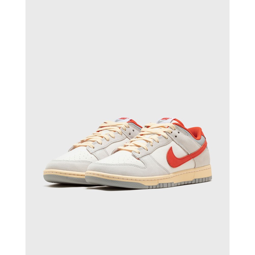 Nike Dunk Low FJ5429-133 / grau