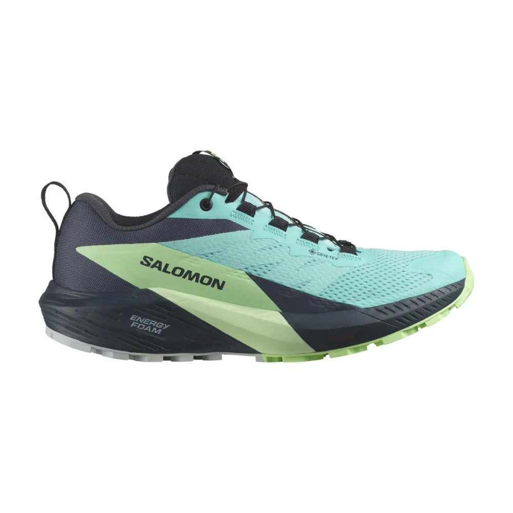 Salomon Sense Ride 5 GTX W L47216000 / bunt