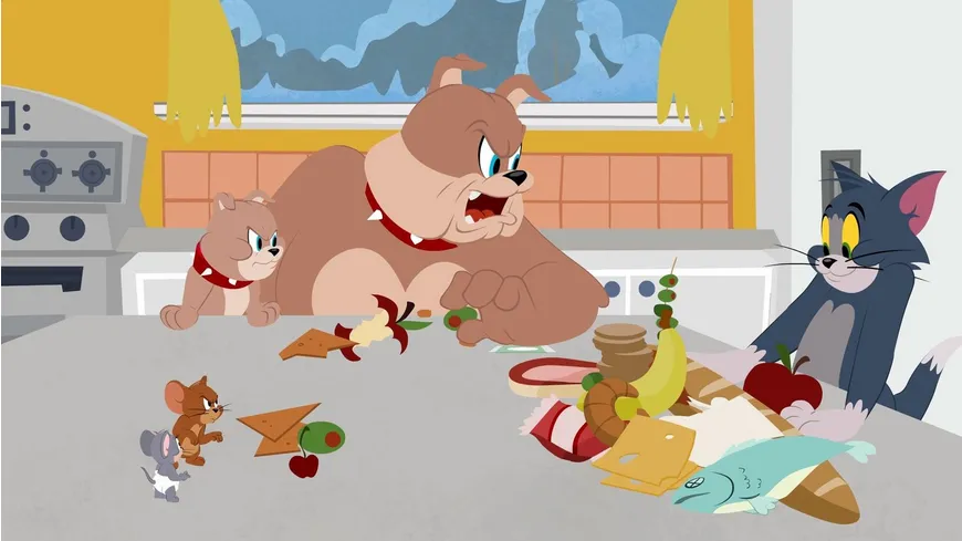 Tom & Jerry Show - Staffel 1/Teil 2  [2 DVDs]