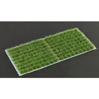 Strong Green 6mm Small