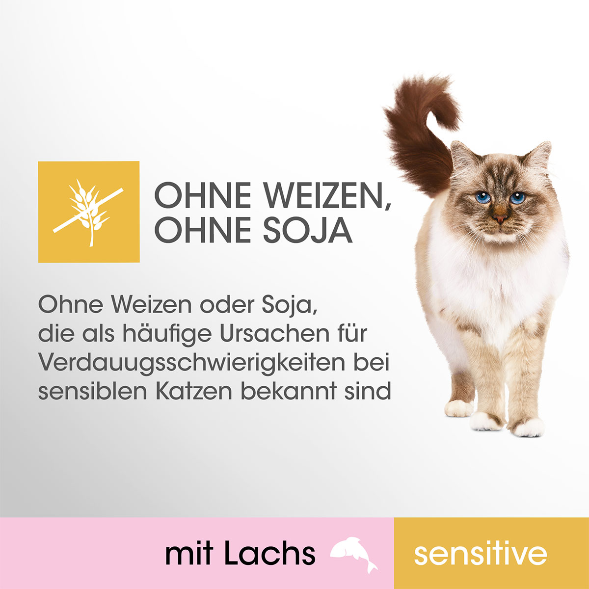 Perfect Fit Katzenfutter Sensitive mit Lachs kaufen