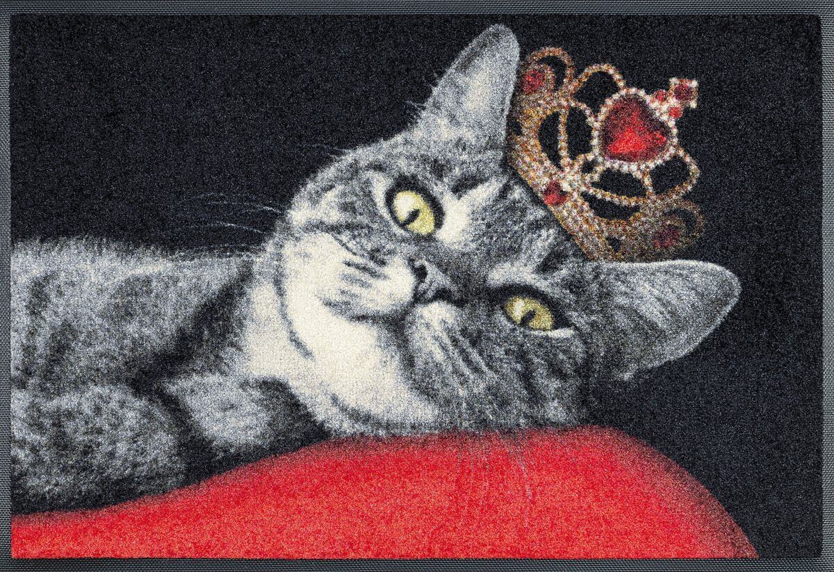 Fußmatte wash dry Royal Cat 50 x 75 cm