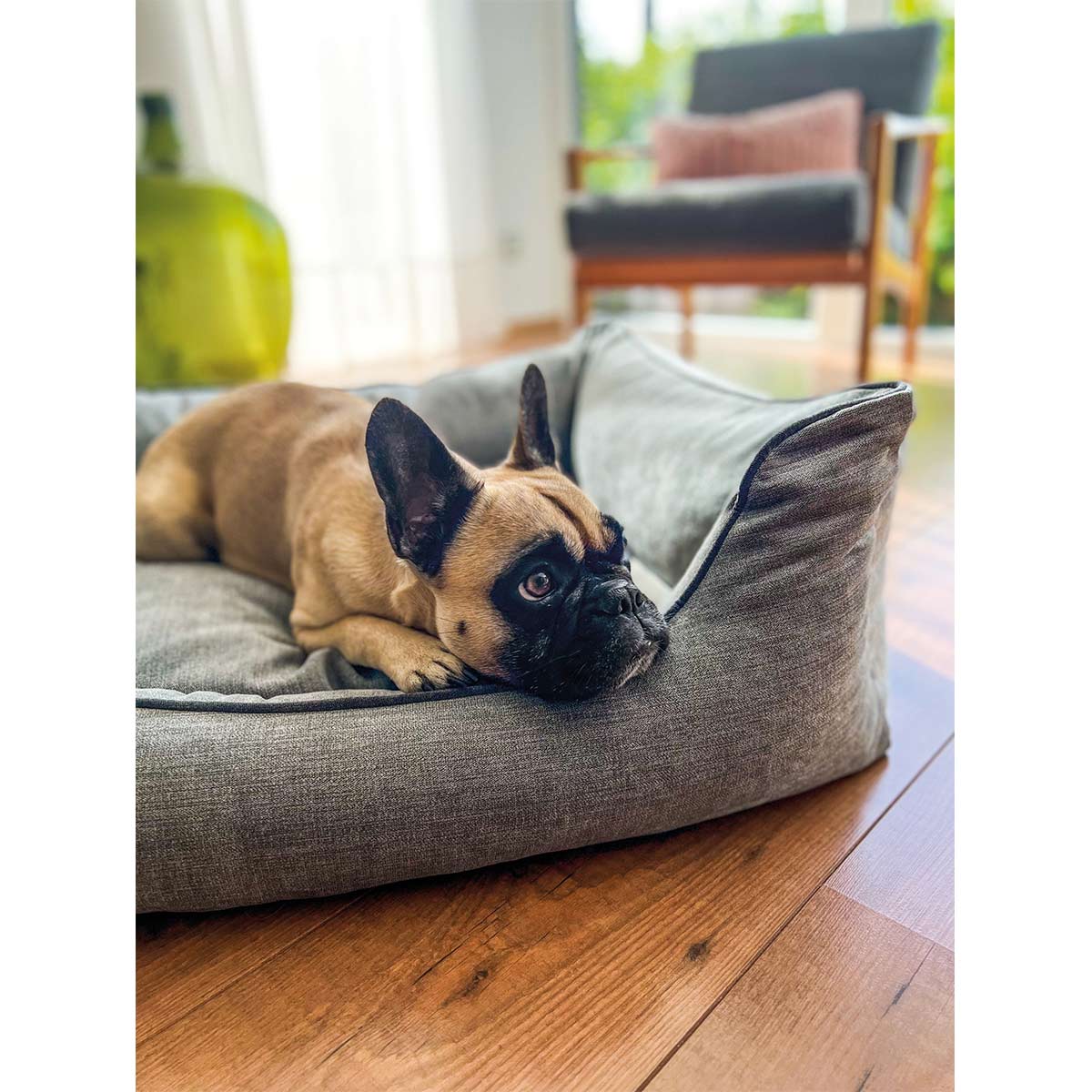 Aumüller Hundebett Sofa Ortho Line Grau kaufen bei ZooRoyal