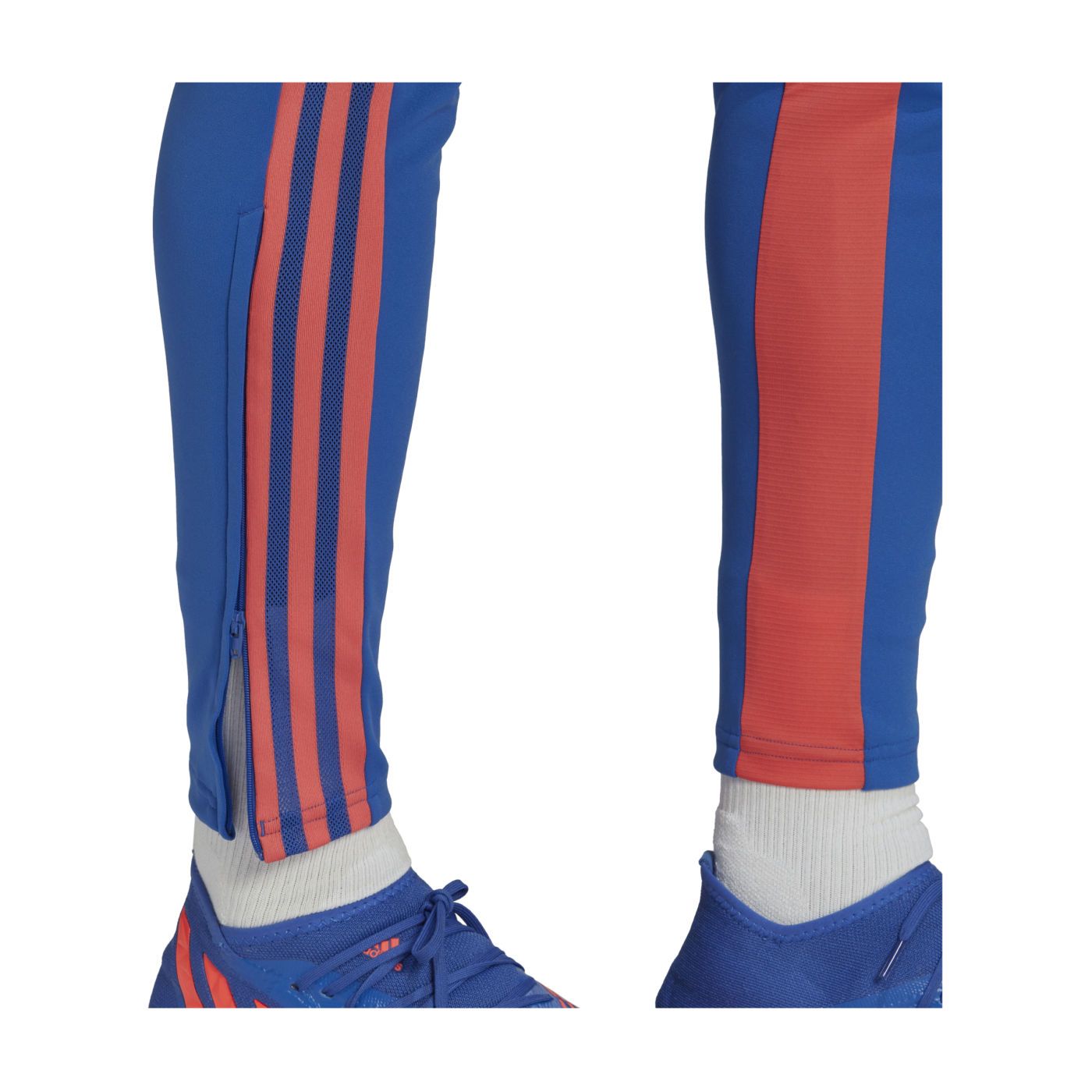 adidas Condivo Predator Trainingshose Blau Rot