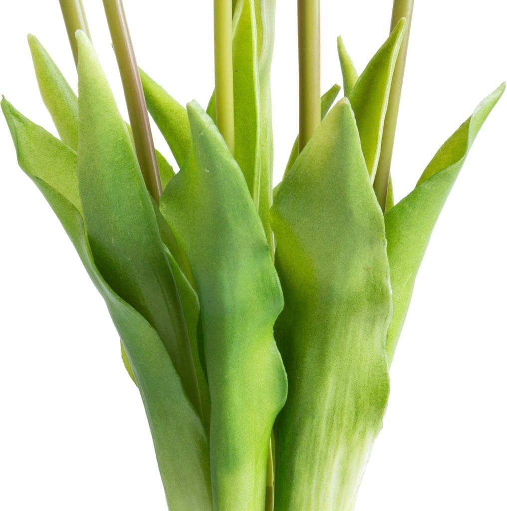 Kunstpflanze Maiva Tulpe, my home, Höhe 47 cm, Tulpenbündel im 7er-Set