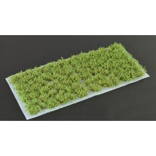 Dark Green Shrubs
