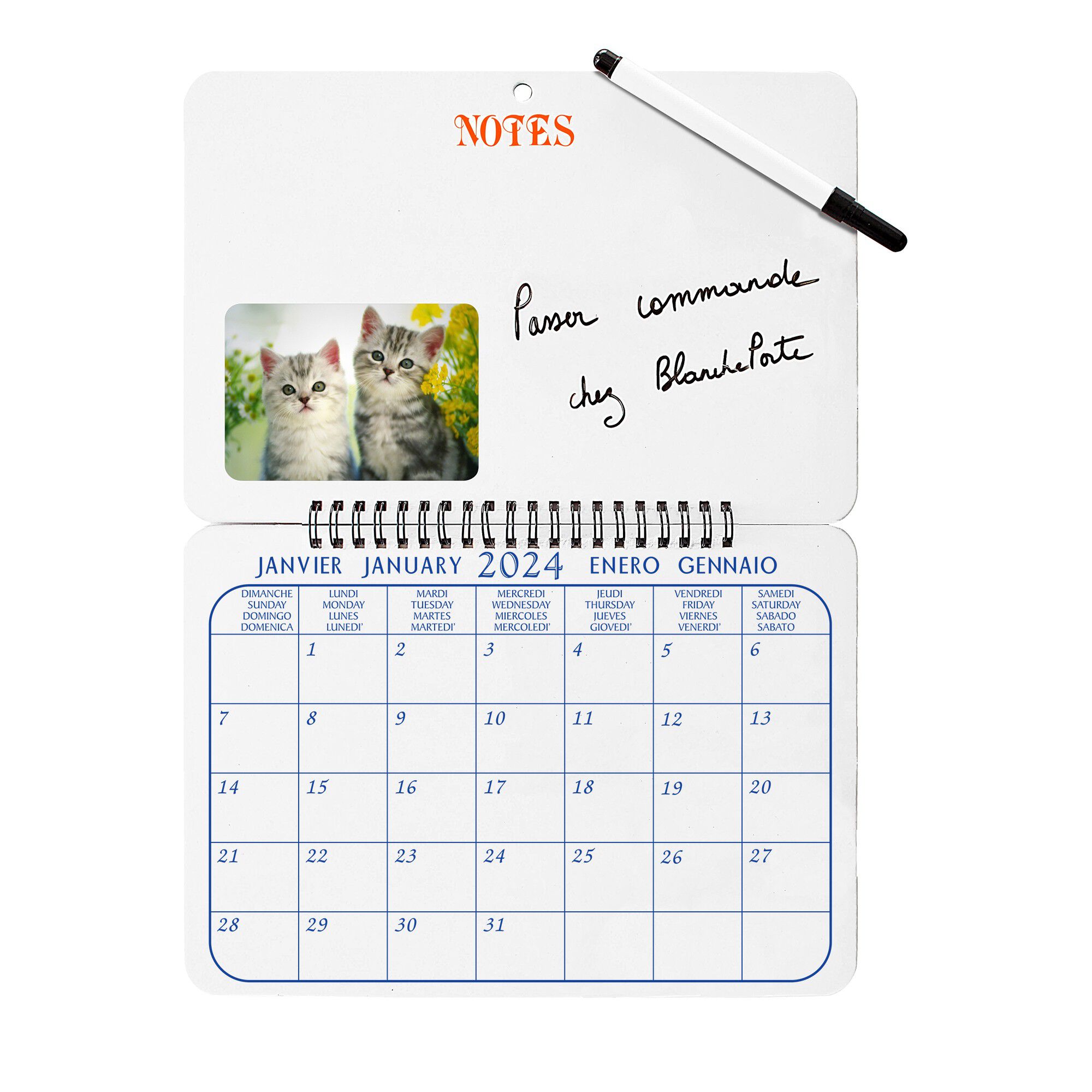 Calendrier mémo chatons 2024
