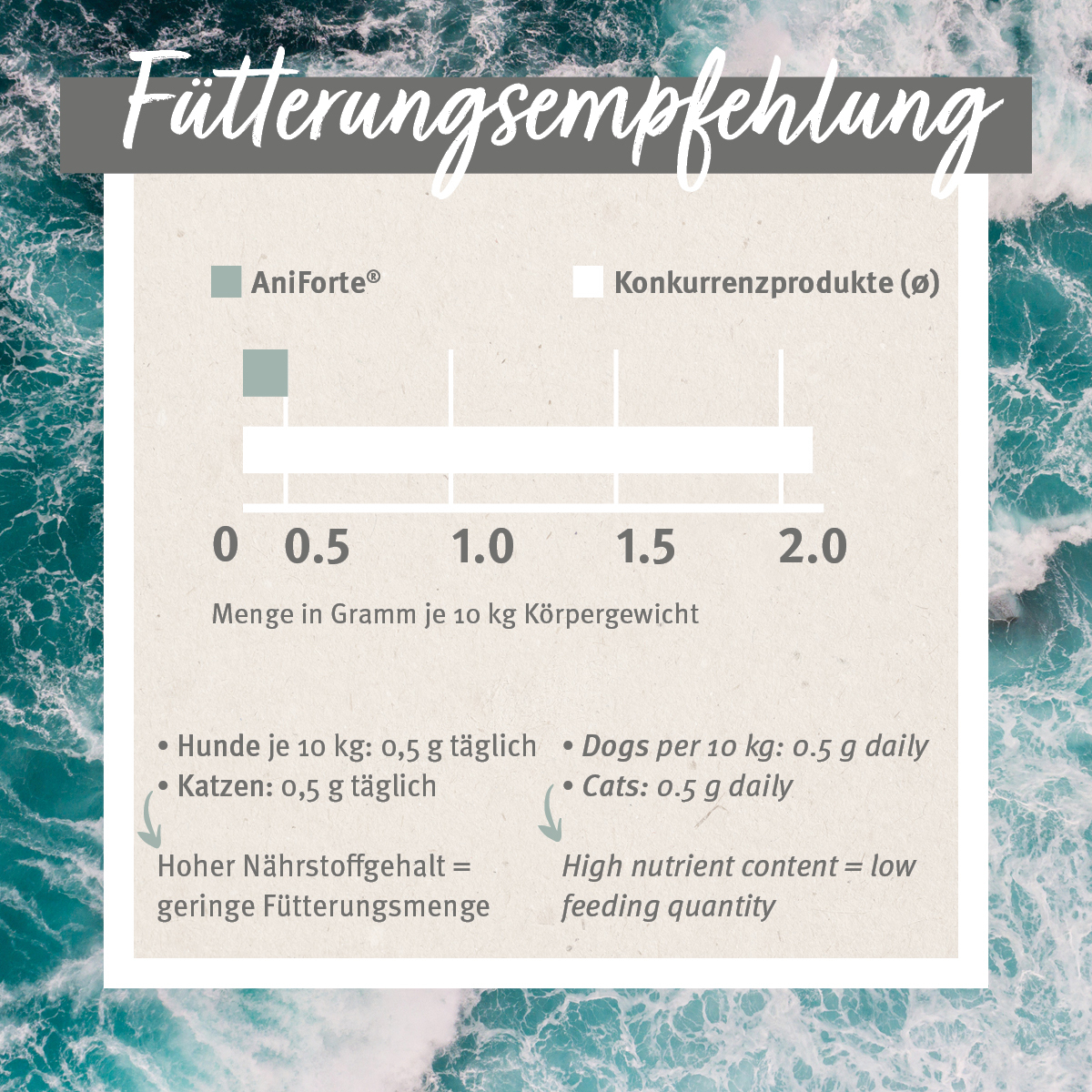 Aniforte Ergänzungsfutter & Aufzucht Aniforte Grünlippmuschelpulver Vollfettqualität 100 g