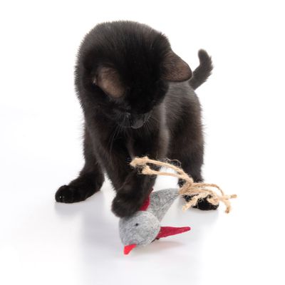 zoolove Katzenspielzeug Filzvogel