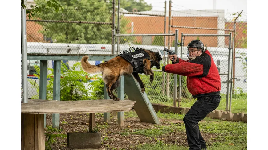 Muzzle - K-9 Narcotics Unit