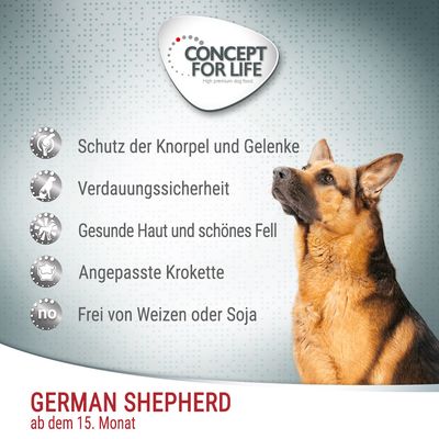 Concept for Life Deutscher Schäferhund Adult