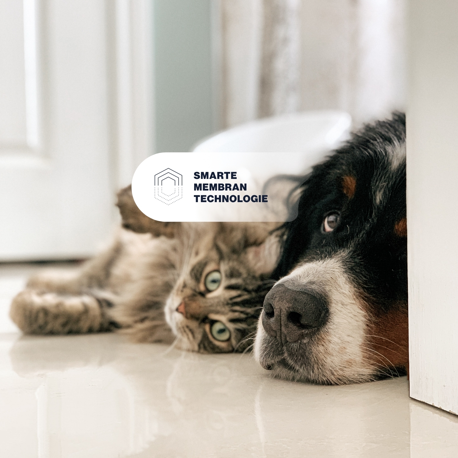 KYVETIN Fellpflege KYVETIN Spray Skin Repair für Hunde und Katzen