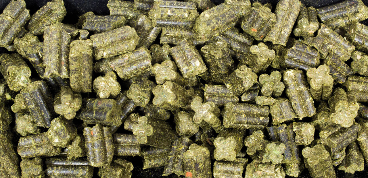 JR Farm Hauptfutter JR Farm Grainless Complete Zwergkaninchen 3,5 kg