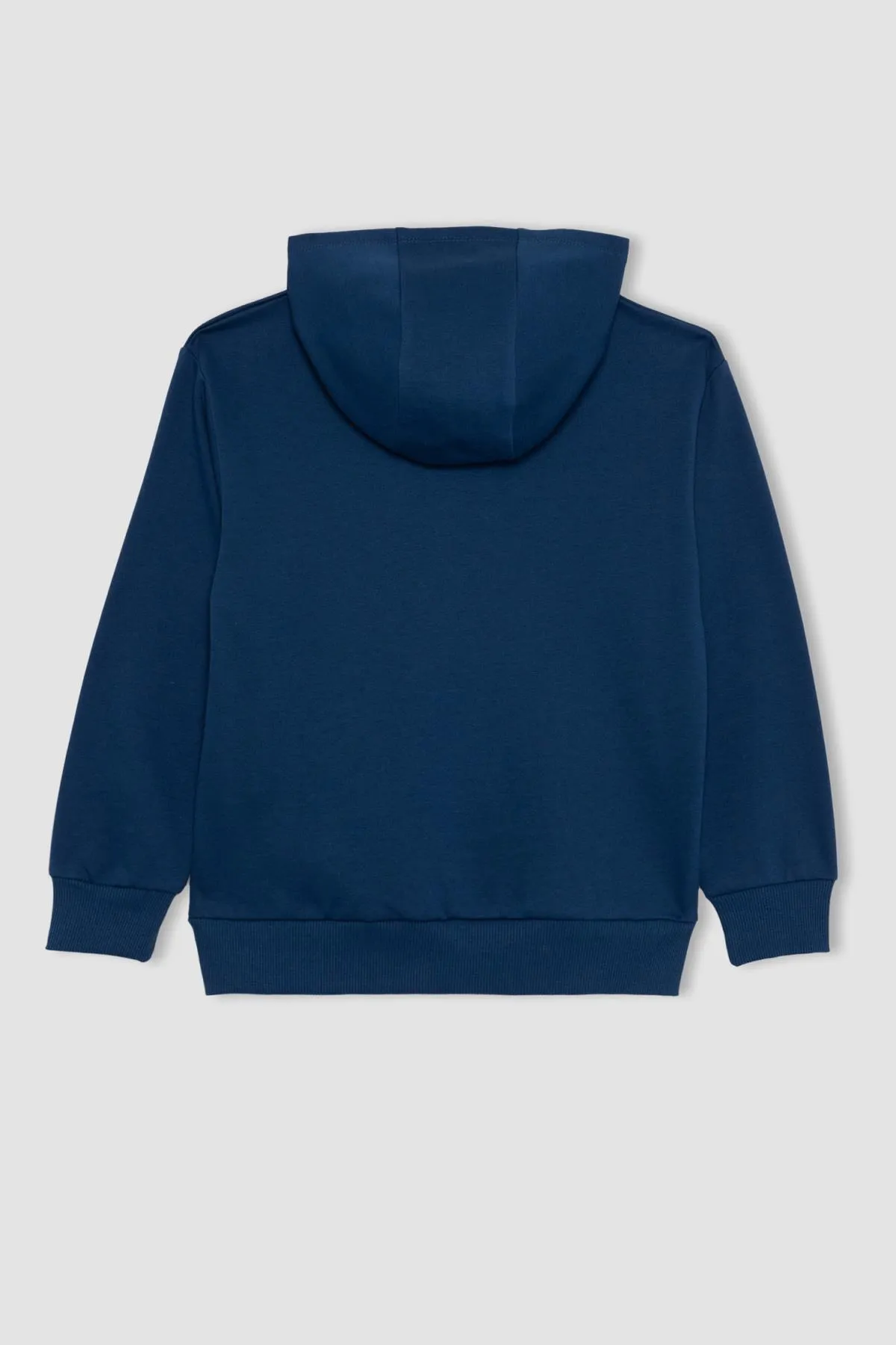 DeFacto  Ninja Turtles-Retro-Kapuzenpullover mit normaler Passform für Jungen