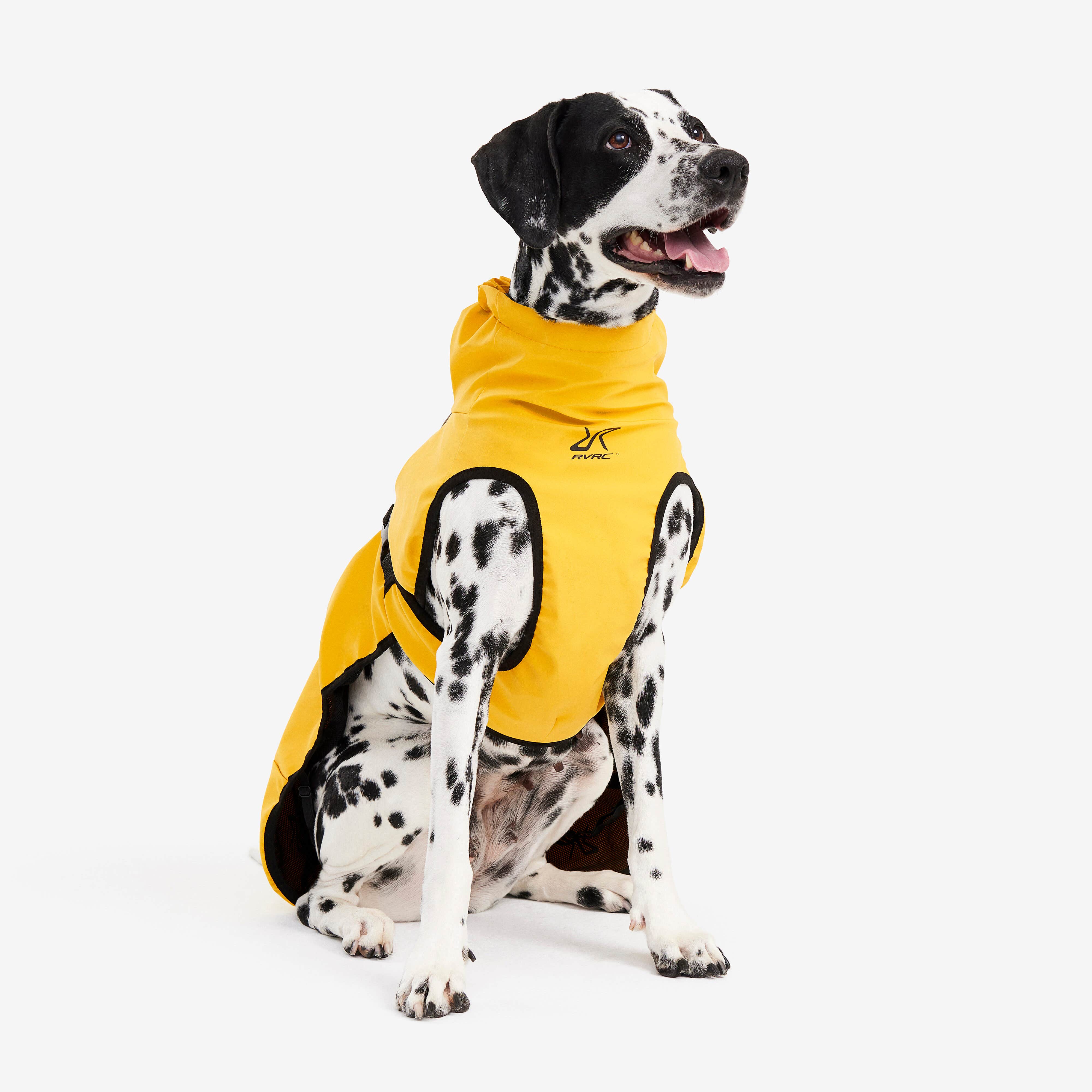 Cyclone Dog Jacket Chien Yellow