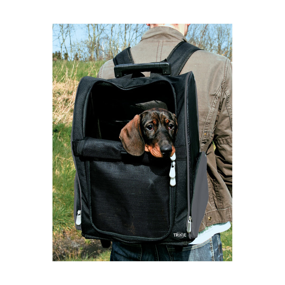 TRIXIE Tbag Trolley 32x45x25cm aus Nylon schwarz bei ZooRoyal