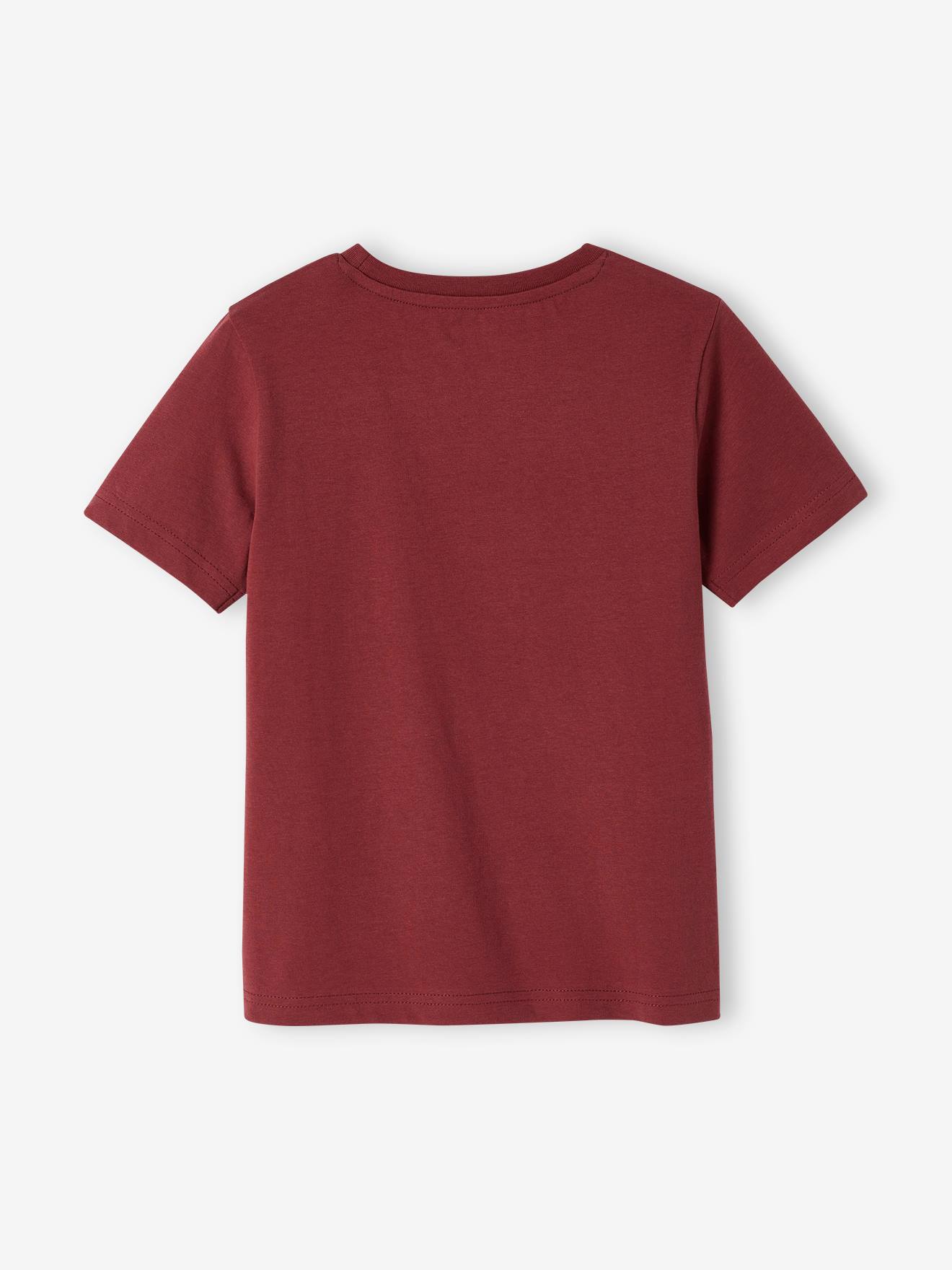 Lot de 3 T-shirts Basics garçon manches courtes lot mastic