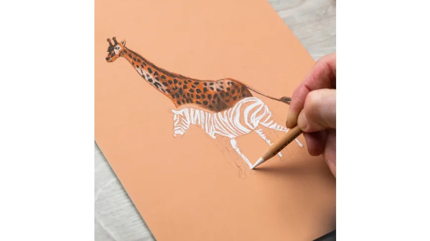 CRETACOLOR Sketching Set