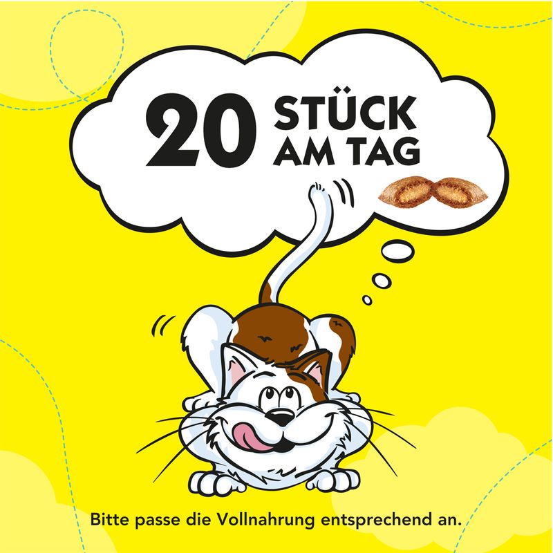 Probierpaket Dreamies Traumland 4 x 60 g zu TOP-Preisen | bitiba