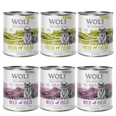 Wolf of Wilderness Senior Mixpakete