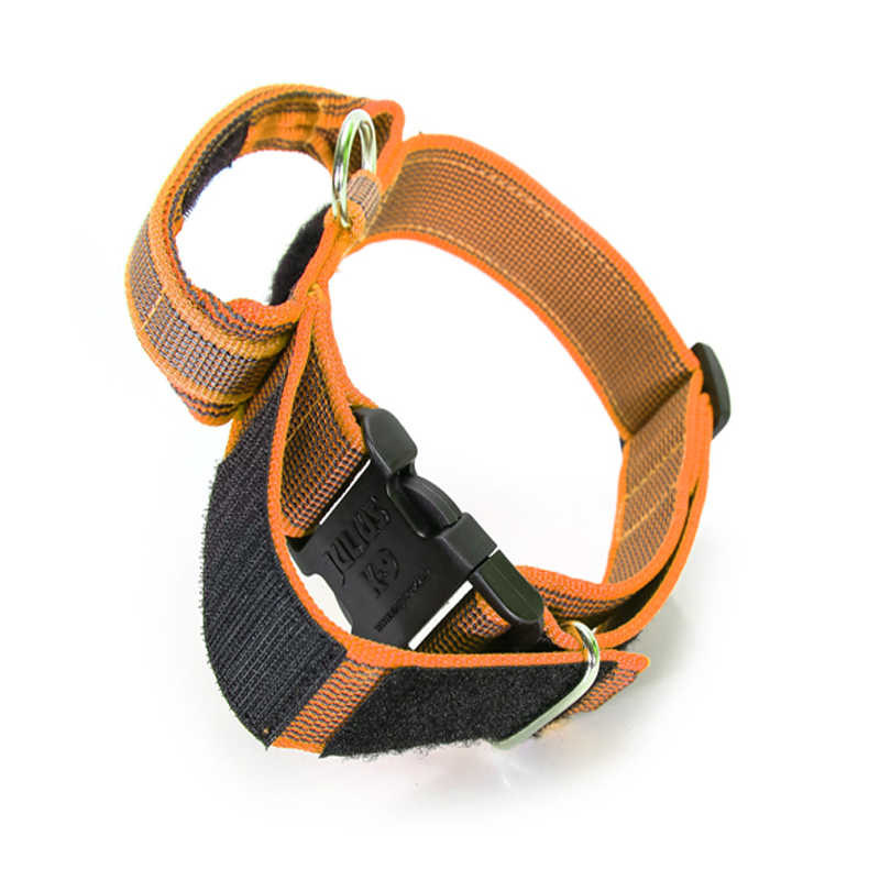 JULIUS-K9 Hundehalsbänder JULIUS-K9 Halsband mit Griff 50mm orange/ grau
