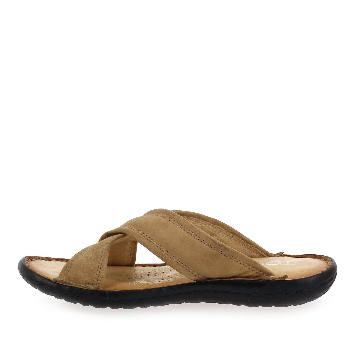 MJUS  439003 - Camel
