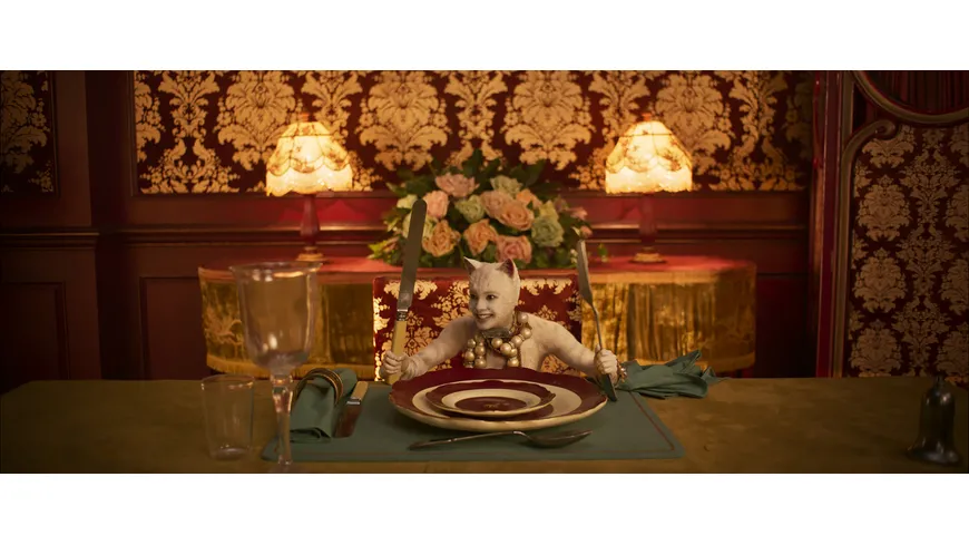 Cats