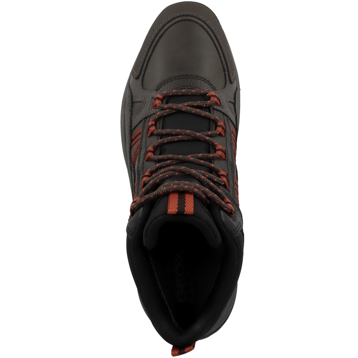 Geox U Terrestre B Wpf B Sneaker mid dunkelbraun