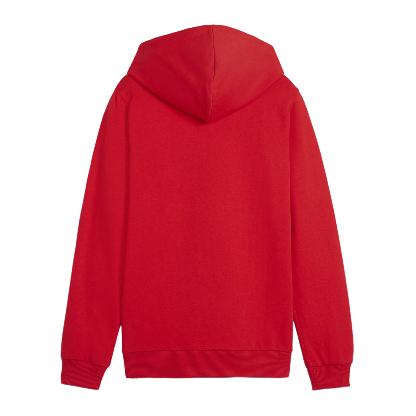 PUMA teamGOAL Casuals Hoody Kids Rot F01
