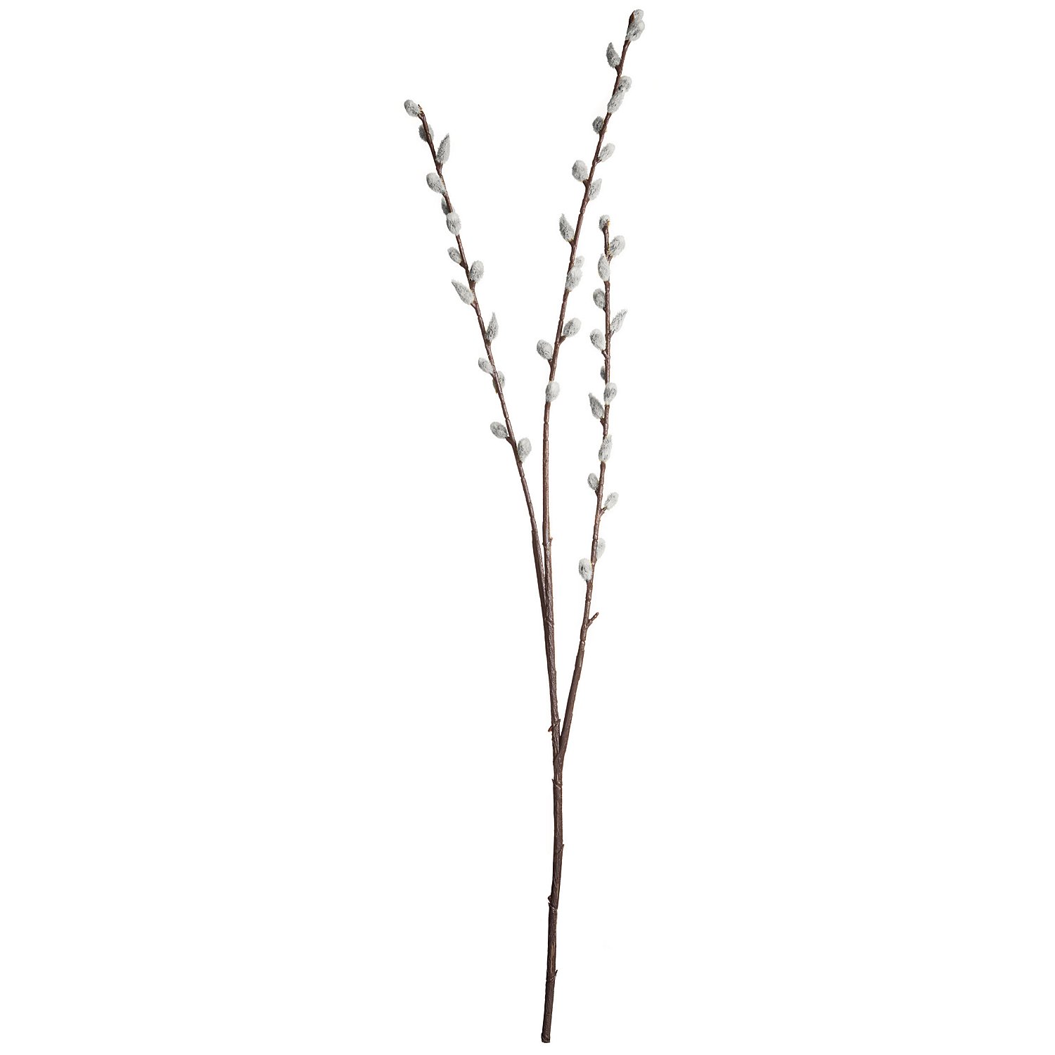 Palmkätzchenzweig, 80 cm