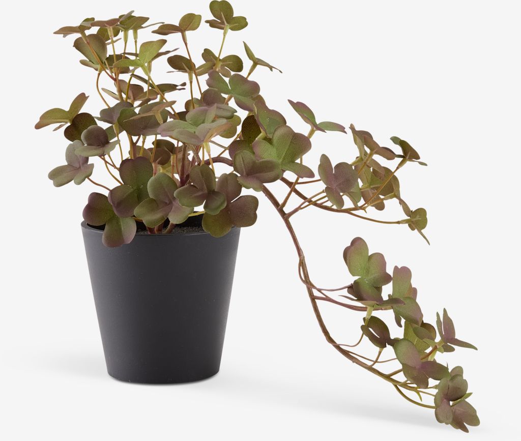 BERGUR Kunstig plante BERGUR, lengde 21 cm, med potte