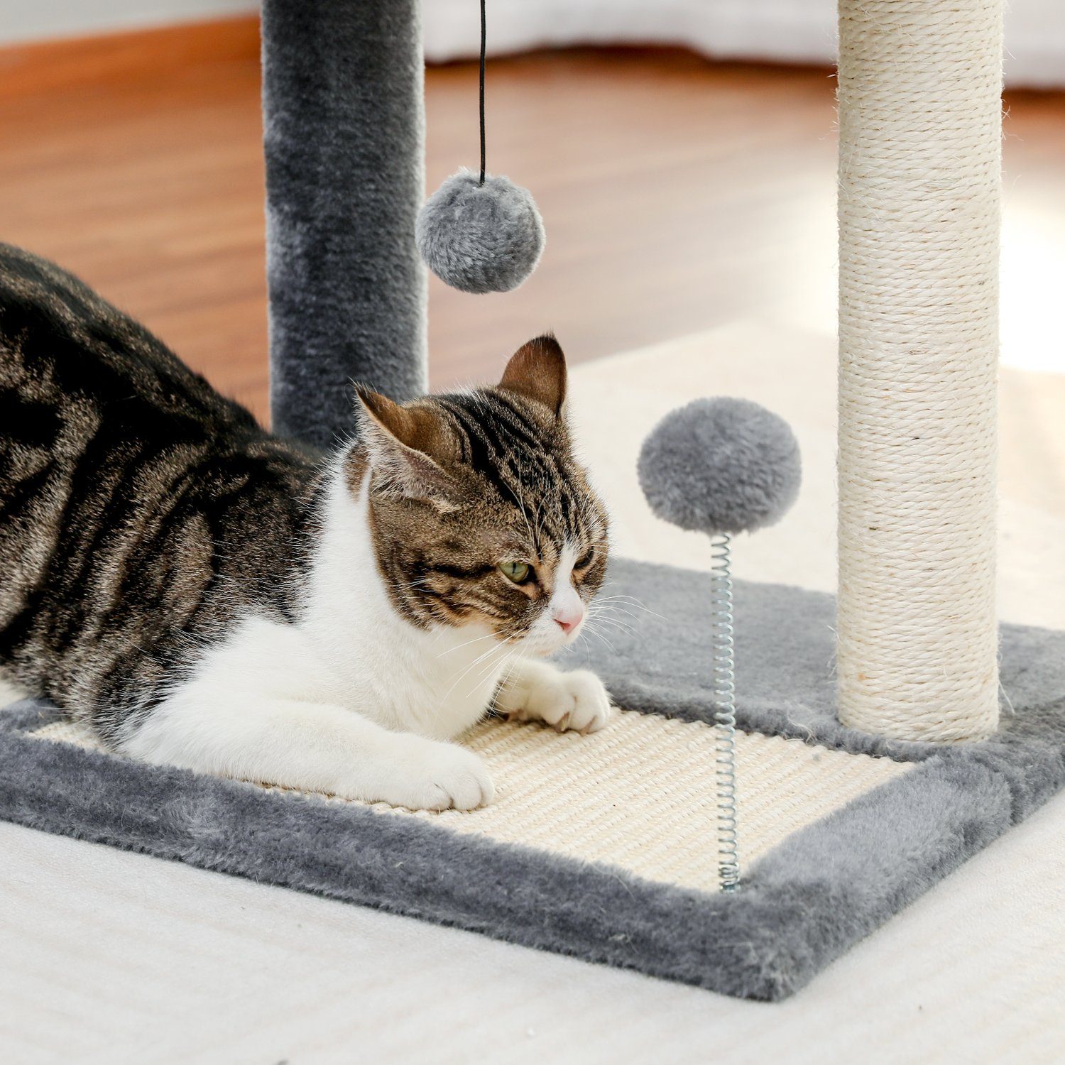 PAWZ Road Kratzbaum Kratzbaum 49cm Kratzstamm Kratzbrett mit breitem Bett Grau